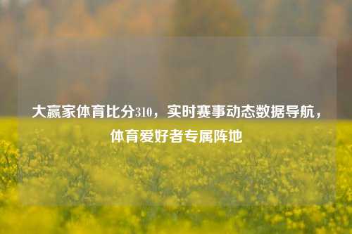 大赢家体育比分310,实时赛事动态数据导航,体育爱好者专属阵地
