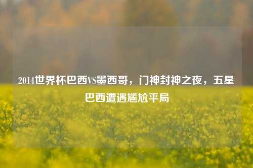 2014世界杯巴西VS墨西哥,门神封神之夜,五星巴西遭遇尴尬平局