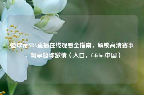 懂球帝NBA直播在线观看全指南,解锁高清赛事,畅享篮球激情(入口,fafalai.中国)