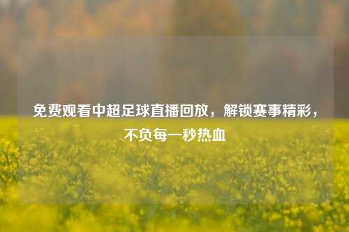 免费观看中超足球直播回放,解锁赛事精彩,不负每一秒热血