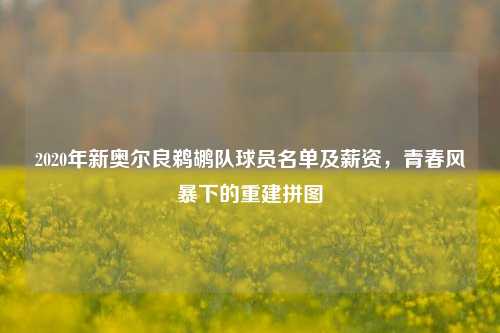2020年新奥尔良鹈鹕队球员名单及薪资，青春风暴下的重建拼图