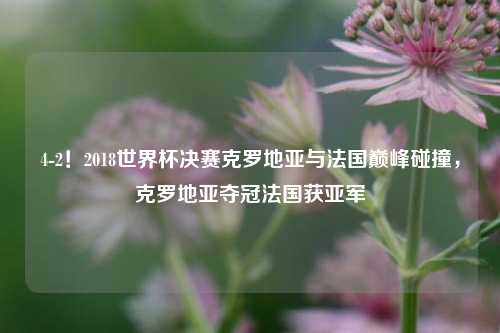 4-2!2018世界杯决赛克罗地亚与法国巅峰碰撞,克罗地亚夺冠法国获亚军