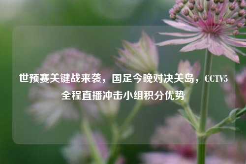 世预赛关键战来袭，国足今晚对决关岛，CCTV5全程直播冲击小组积分优势