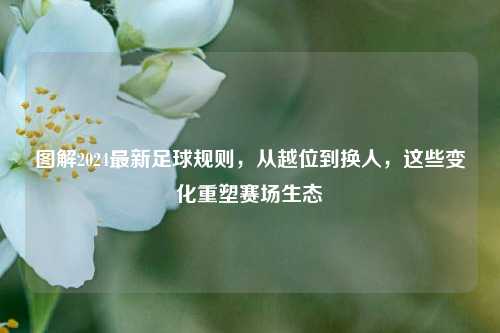图解2024最新足球规则,从越位到换人,这些变化重塑赛场生态