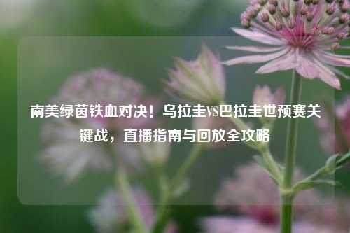 南美绿茵铁血对决!乌拉圭VS巴拉圭世预赛关键战,直播指南与回放全攻略