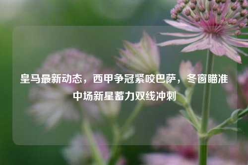 皇马最新动态，西甲争冠紧咬巴萨，冬窗瞄准中场新星蓄力双线冲刺
