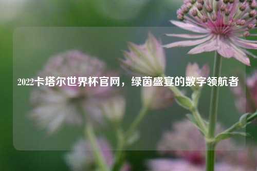 2022卡塔尔世界杯官网,绿茵盛宴的数字领航者