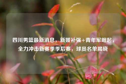 四川男篮最新消息,新援补强+青年军崛起,全力冲击新赛季季后赛,球员名单揭晓
