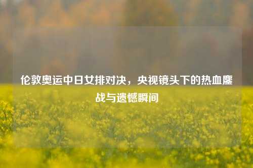 伦敦奥运中日女排对决,央视镜头下的热血鏖战与遗憾瞬间