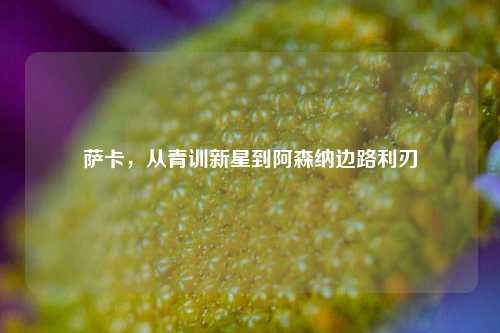 萨卡,从青训新星到阿森纳边路利刃