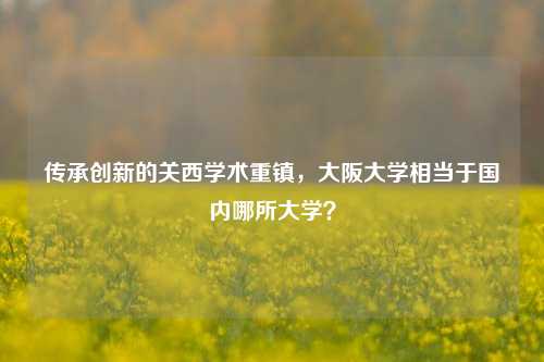 传承创新的关西学术重镇，大阪大学相当于国内哪所大学？