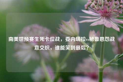 南美世预赛生死卡位战,委内瑞拉vs秘鲁恩怨战意交织,谁能笑到最后?