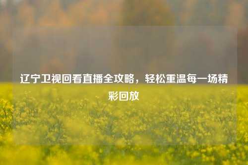 辽宁卫视回看直播全攻略,轻松重温每一场精彩回放