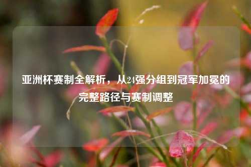 亚洲杯赛制全解析,从24强分组到冠军加冕的完整路径与赛制调整