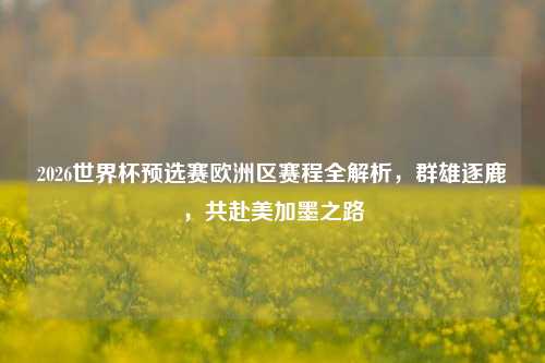 2026世界杯预选赛欧洲区赛程全解析，群雄逐鹿，共赴美加墨之路
