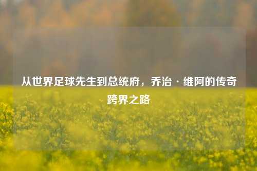 从世界足球先生到总统府,乔治·维阿的传奇跨界之路