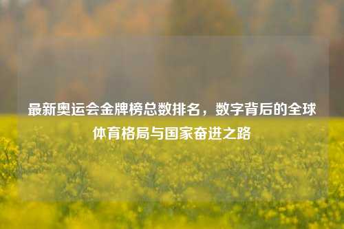 最新奥运会金牌榜总数排名,数字背后的全球体育格局与国家奋进之路