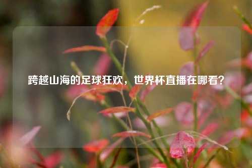 跨越山海的足球狂欢，世界杯直播在哪看？