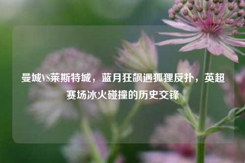 曼城VS莱斯特城,蓝月狂飙遇狐狸反扑,英超赛场冰火碰撞的历史交锋