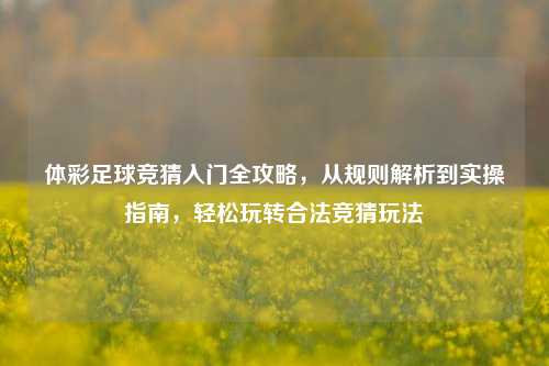体彩足球竞猜入门全攻略,从规则解析到实操指南,轻松玩转合法竞猜玩法