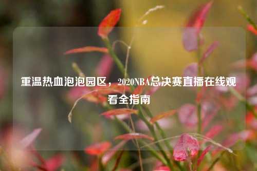重温热血泡泡园区，2020NBA总决赛直播在线观看全指南