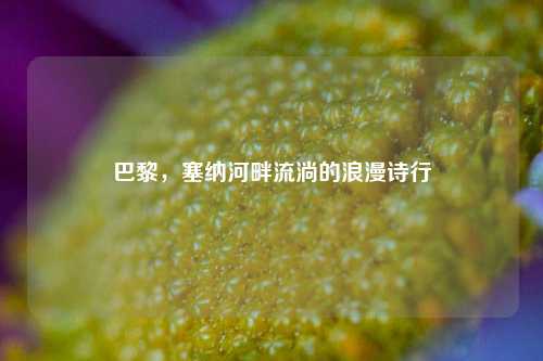 巴黎,塞纳河畔流淌的浪漫诗行