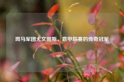 斑马军团尤文图斯,意甲联赛的传奇冠军