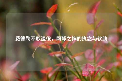 费德勒不敢退役，网球之神的执念与软肋
