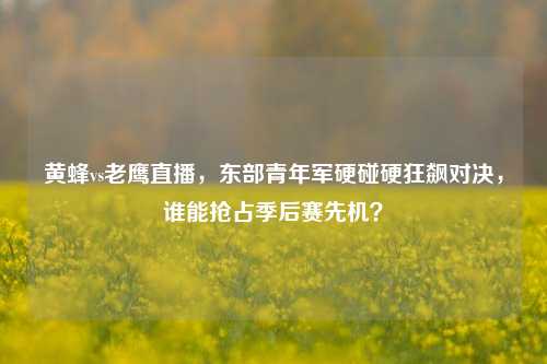 黄蜂vs老鹰直播,东部青年军硬碰硬狂飙对决,谁能抢占季后赛先机?