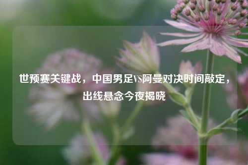 世预赛关键战,中国男足VS阿曼对决时间敲定,出线悬念今夜揭晓