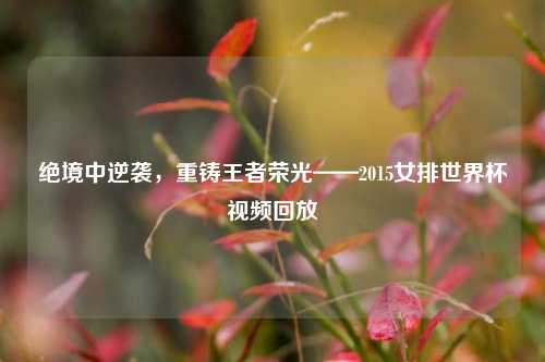 绝境中逆袭,重铸王者荣光——2015女排世界杯视频回放