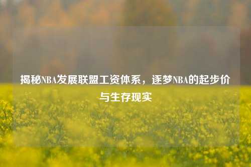 揭秘NBA发展联盟工资体系，逐梦NBA的起步价与生存现实