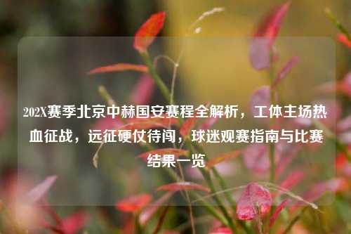 202X赛季北京中赫国安赛程全解析，工体主场热血征战，远征硬仗待闯，球迷观赛指南与比赛结果一览