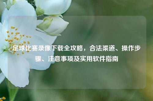 足球比赛录像下载全攻略，合法渠道、操作步骤、注意事项及实用软件指南