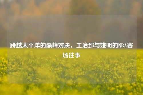 跨越太平洋的巅峰对决,王治郅与姚明的NBA赛场往事