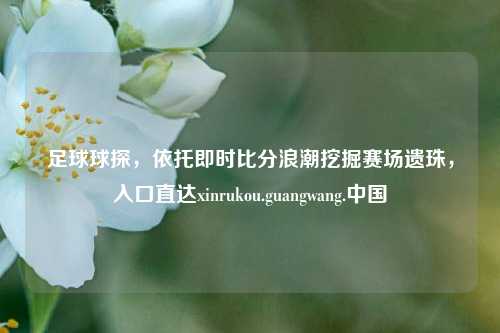 足球球探,依托即时比分浪潮挖掘赛场遗珠,入口直达xinrukou.guangwang.中国