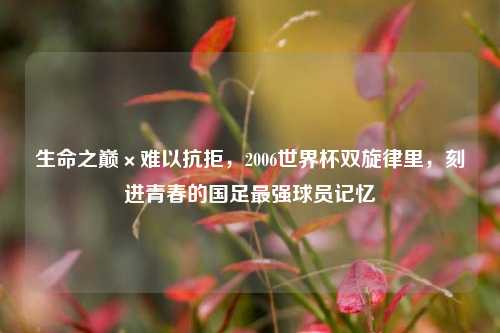 生命之巅×难以抗拒，2006世界杯双旋律里，刻进青春的国足最强球员记忆