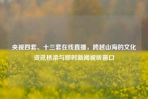 央视四套、十三套在线直播，跨越山海的文化资讯桥梁与即时新闻视听窗口