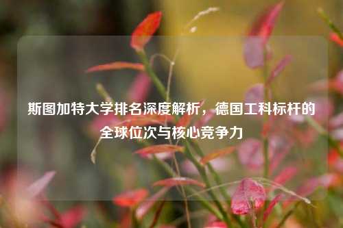 斯图加特大学排名深度解析，德国工科标杆的全球位次与核心竞争力