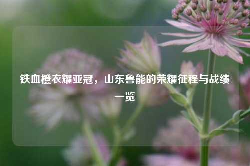 铁血橙衣耀亚冠，山东鲁能的荣耀征程与战绩一览