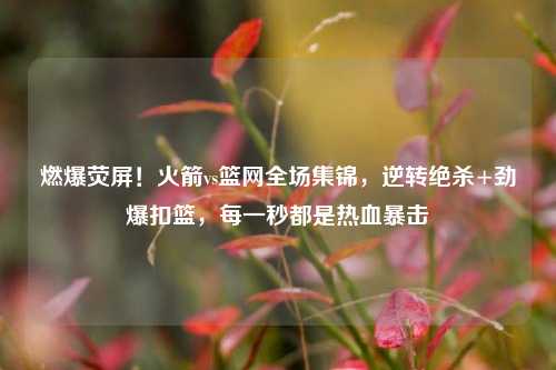 燃爆荧屏！火箭vs篮网全场集锦，逆转绝杀+劲爆扣篮，每一秒都是热血暴击