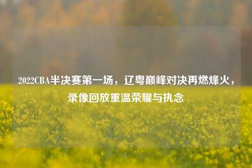 2022CBA半决赛第一场,辽粤巅峰对决再燃烽火,录像回放重温荣耀与执念