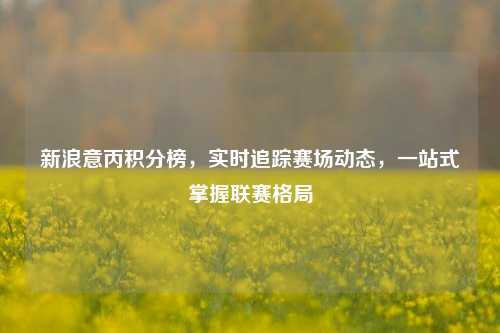 新浪意丙积分榜，实时追踪赛场动态，一站式掌握联赛格局