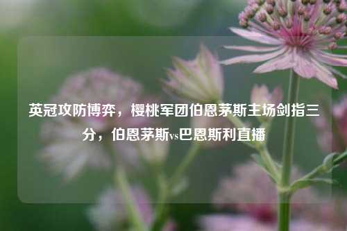 英冠攻防博弈,樱桃军团伯恩茅斯主场剑指三分,伯恩茅斯vs巴恩斯利直播