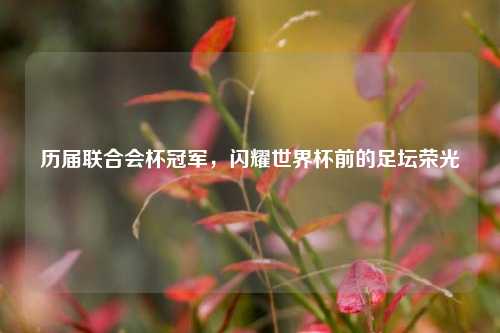历届联合会杯冠军，闪耀世界杯前的足坛荣光