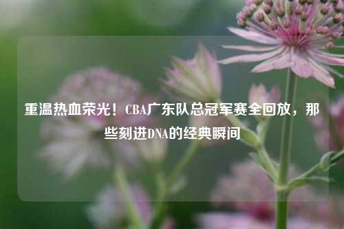 重温热血荣光!CBA广东队总冠军赛全回放,那些刻进DNA的经典瞬间
