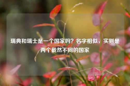 瑞典和瑞士是一个国家吗？名字相似，实则是两个截然不同的国家