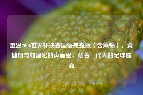 重温2006世界杯决赛国语完整版（含集锦），黄健翔与刘建宏的声音里，藏着一代人的足球盛夏