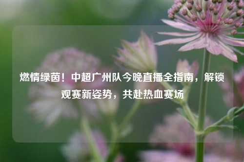 燃情绿茵！中超广州队今晚直播全指南，解锁观赛新姿势，共赴热血赛场