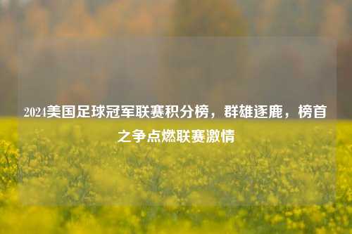 2024美国足球冠军联赛积分榜,群雄逐鹿,榜首之争点燃联赛激情